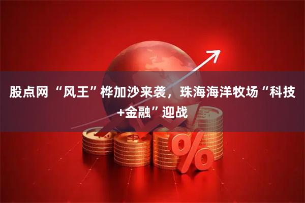 股点网 “风王”桦加沙来袭，珠海海洋牧场“科技+金融”迎战