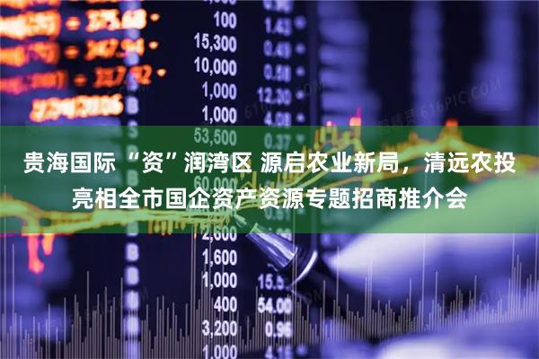 贵海国际 “资”润湾区 源启农业新局，清远农投亮相全市国企资产资源专题招商推介会